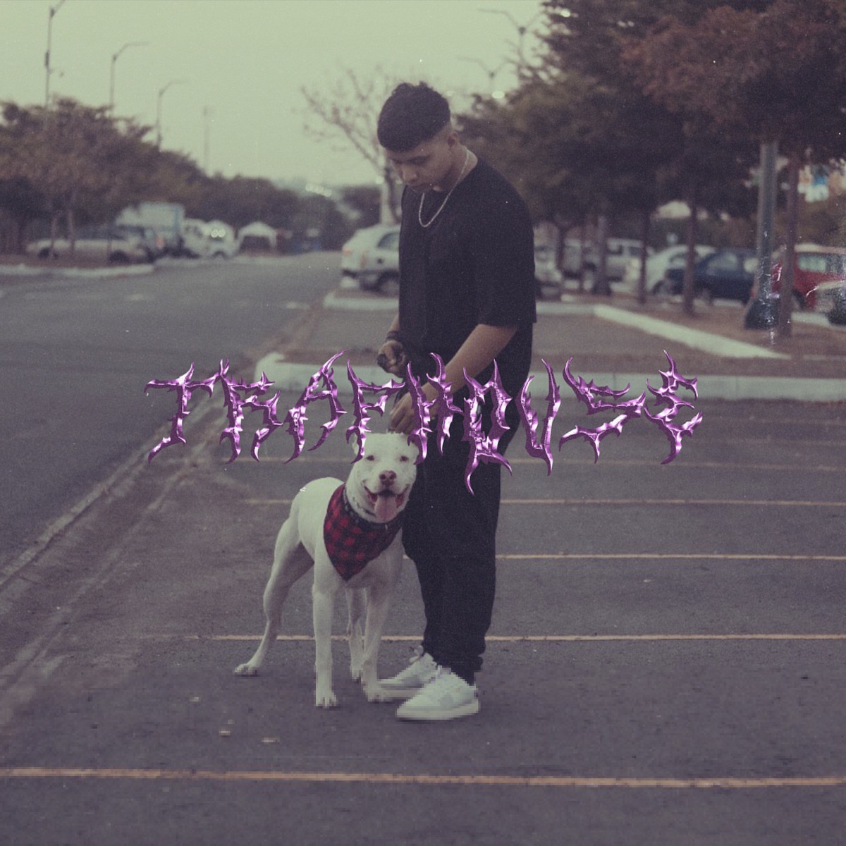 Trap House - Single by Andrew Lenin album cover