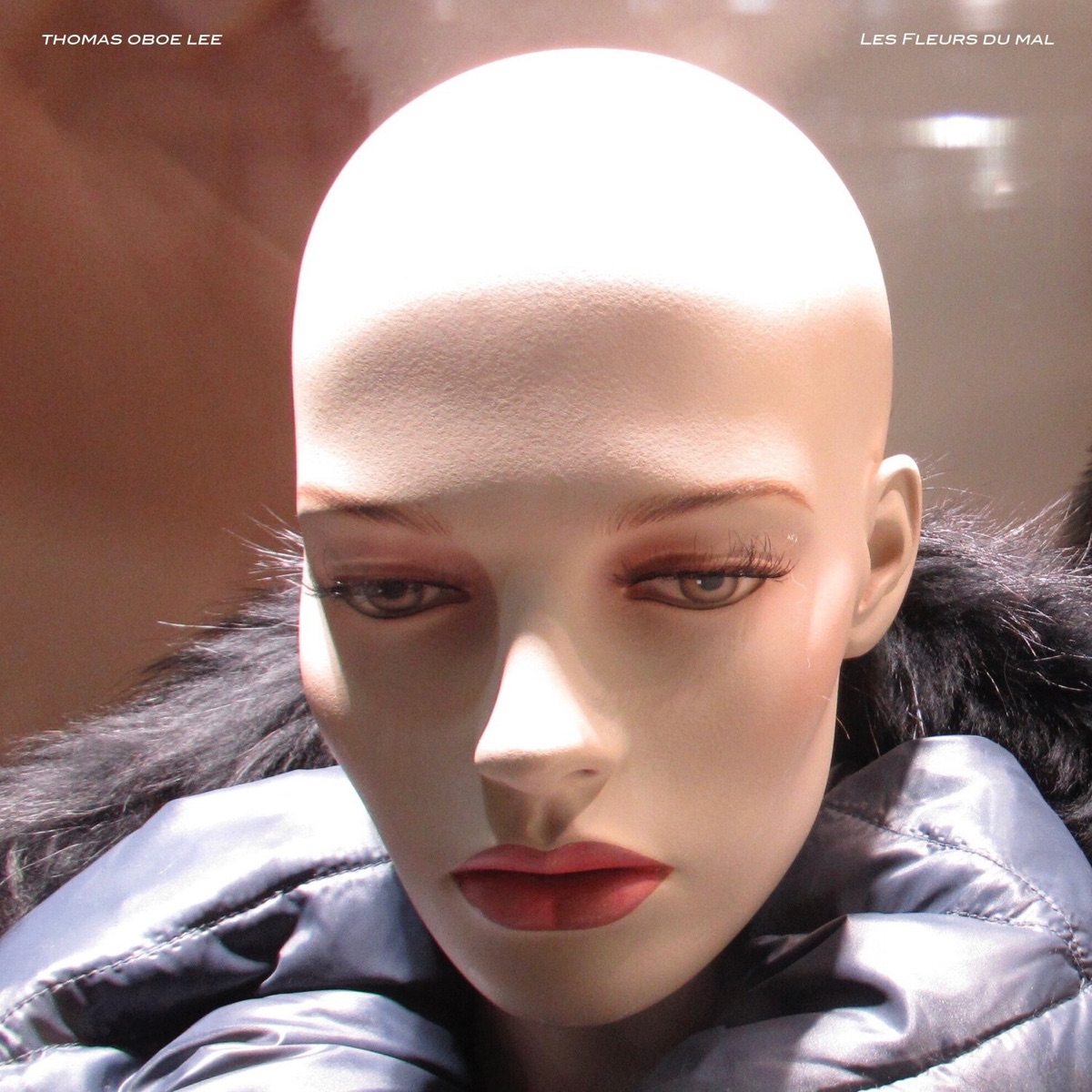 Les Fleurs du Mal - EP by Thomas Oboe Lee & Sarah Yanovitch album cover