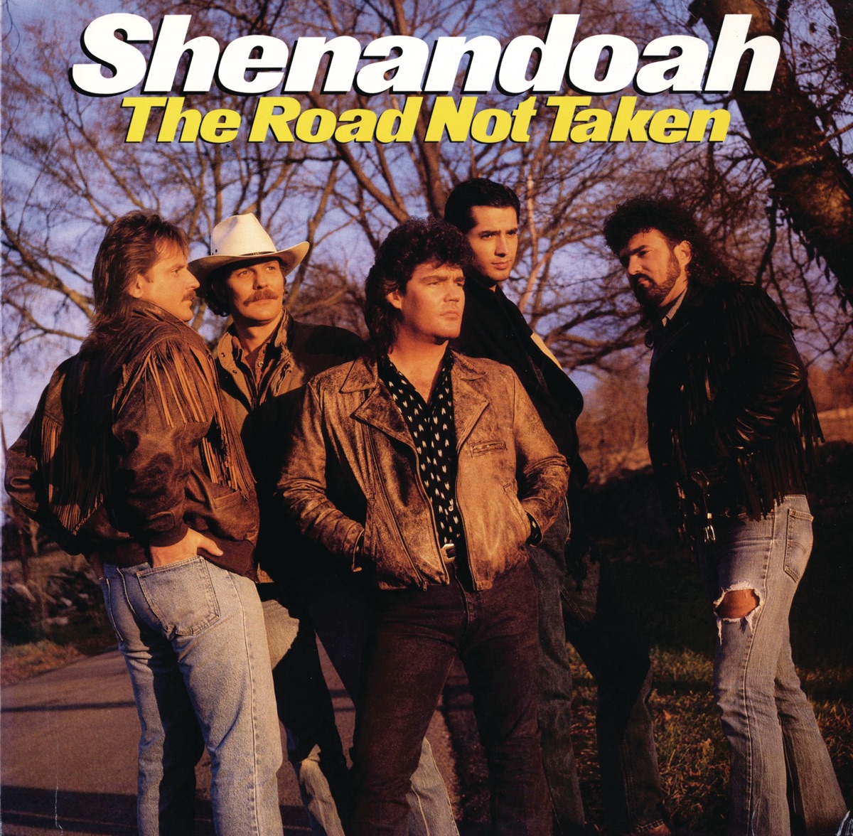 The Road Not Taken by Shenandoah album cover