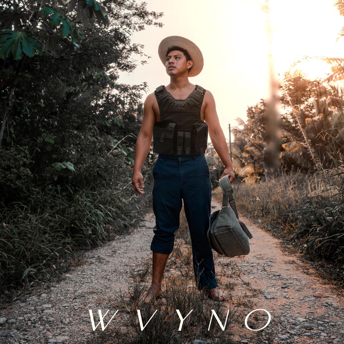 Program - Single by Wvyno album cover