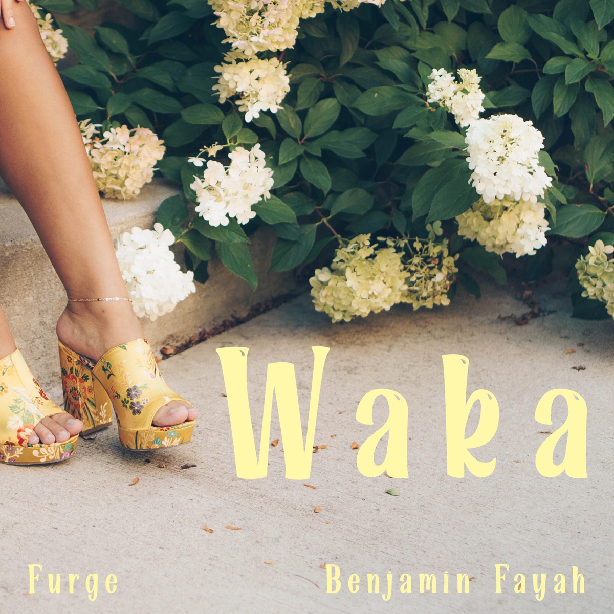 Waka - Single by Furge & Benjamin Fayah album cover