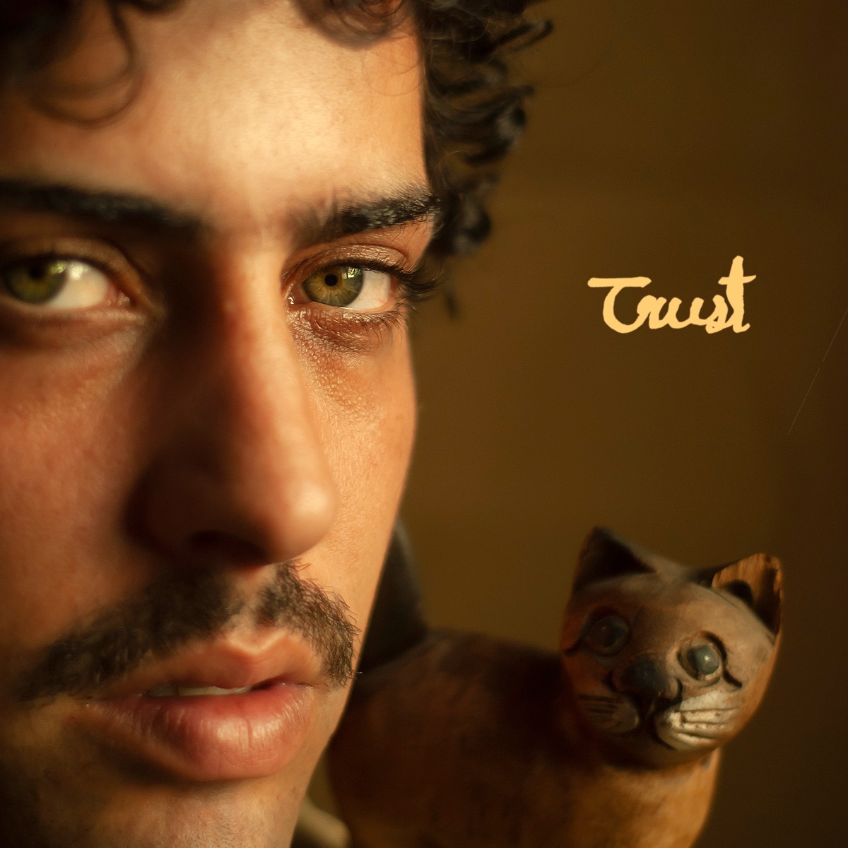 Trust - Single by Tamezz album cover