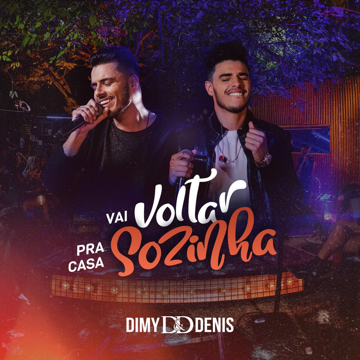 Vai Voltar pra Casa Sozinha (Ao Vivo) - Single by Dimy & Denis album cover