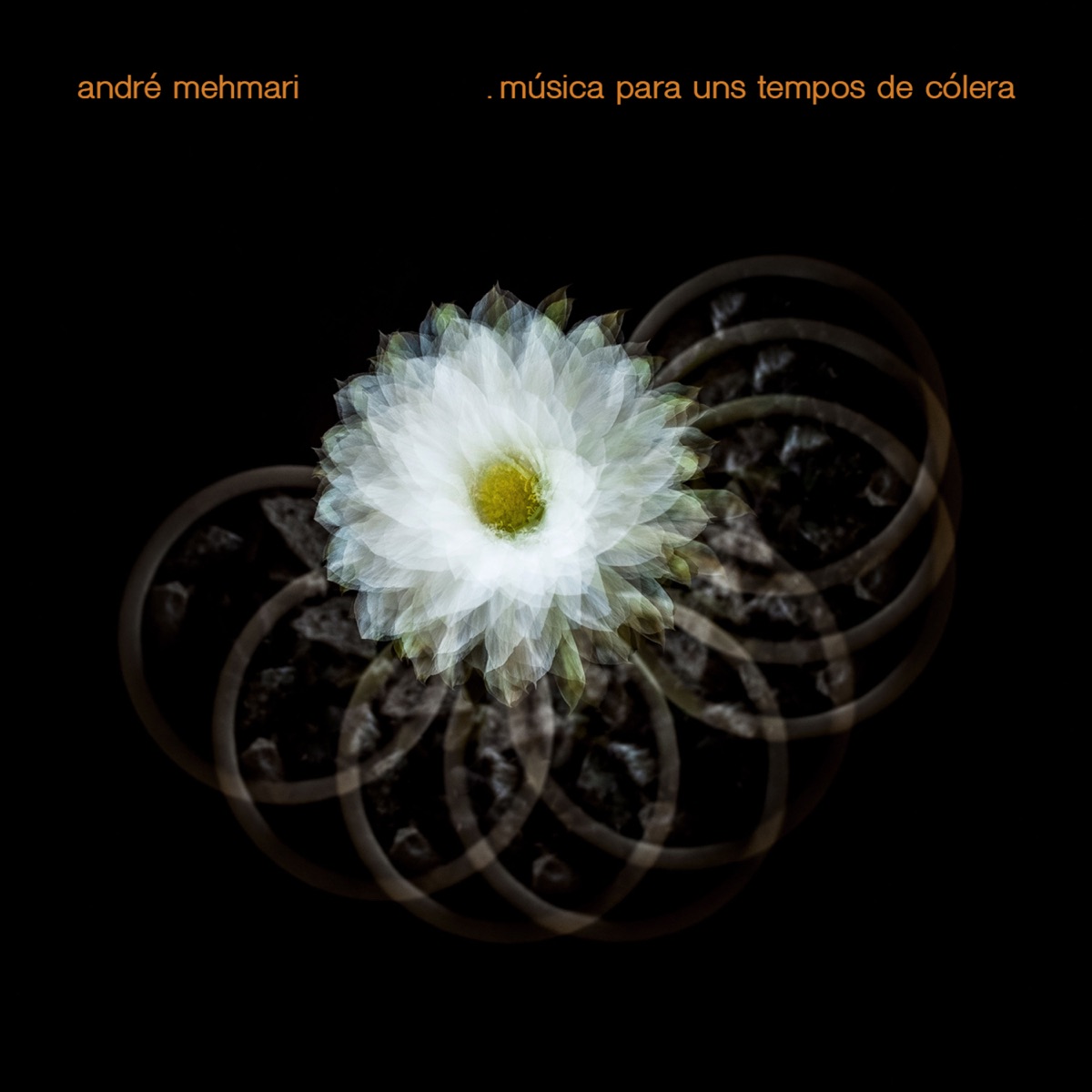 Música para uns Tempos de Cólera by André Mehmari album cover