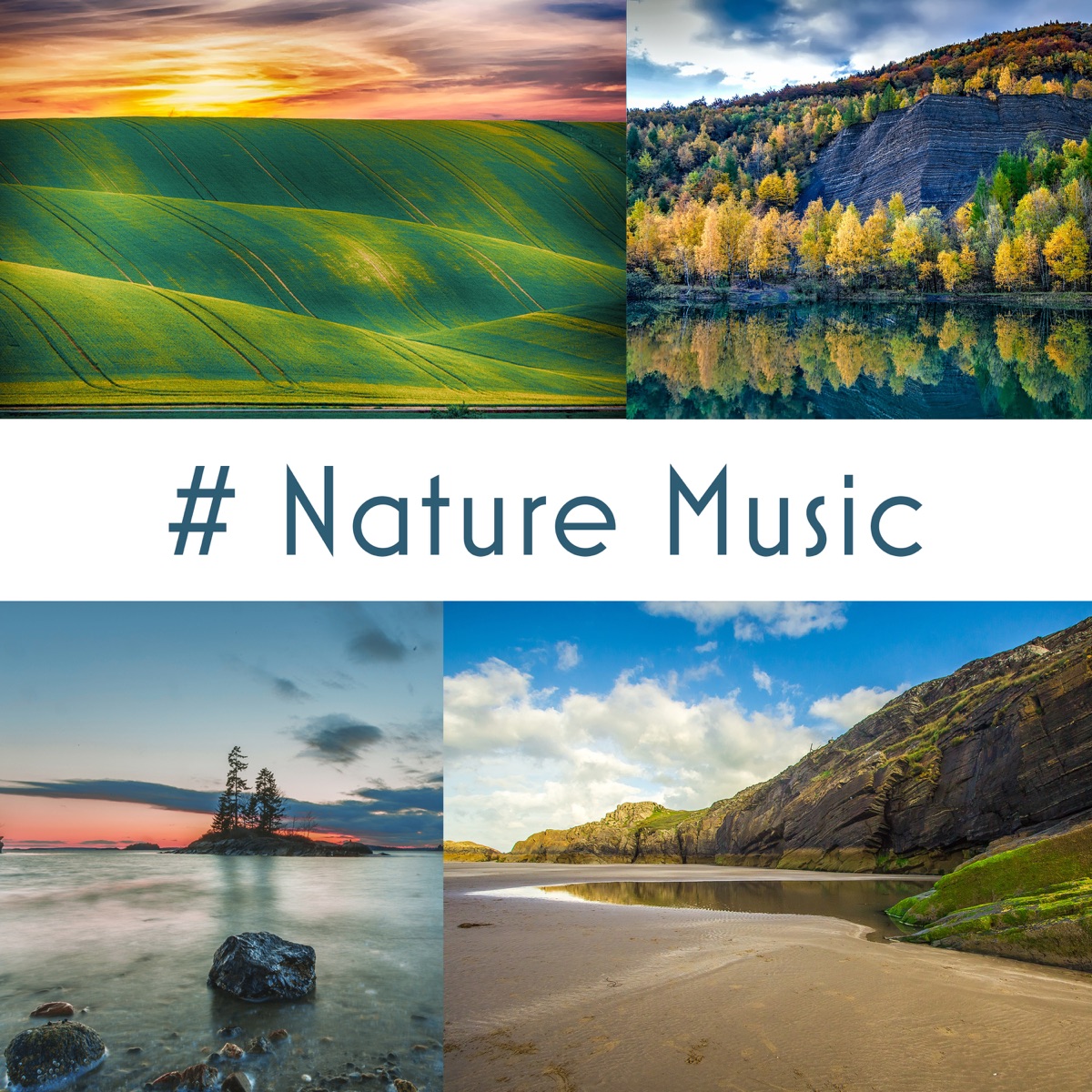 # Nature Music: 50 Tracks of Relaxing Nature Ambient, Meditation, Sleep & Wellness by Relaxing Nature Sounds Collection, Meditation Music Zone & Calming Water Consort album cover