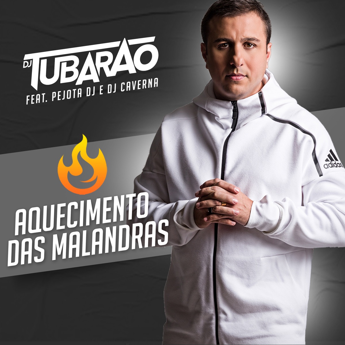 Aquecimento das Malandras (feat. Pejota DJ & DJ Caverna) - Single by DJ Tubarão album cover