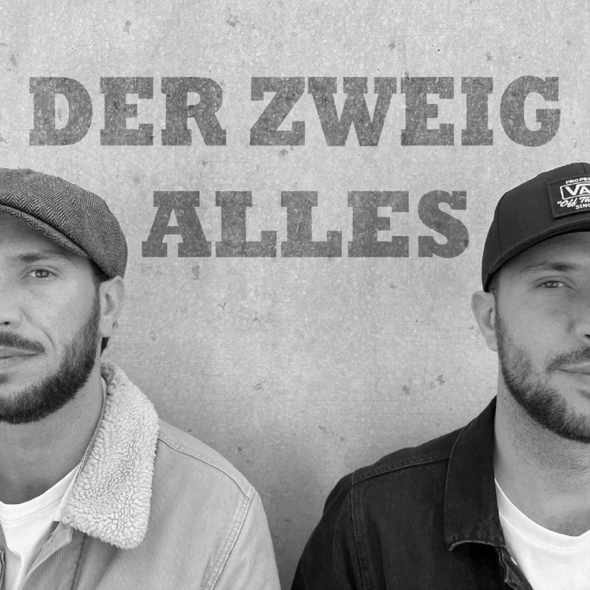 Alles (feat. Amy Diop) - Single by Der Zweig album cover