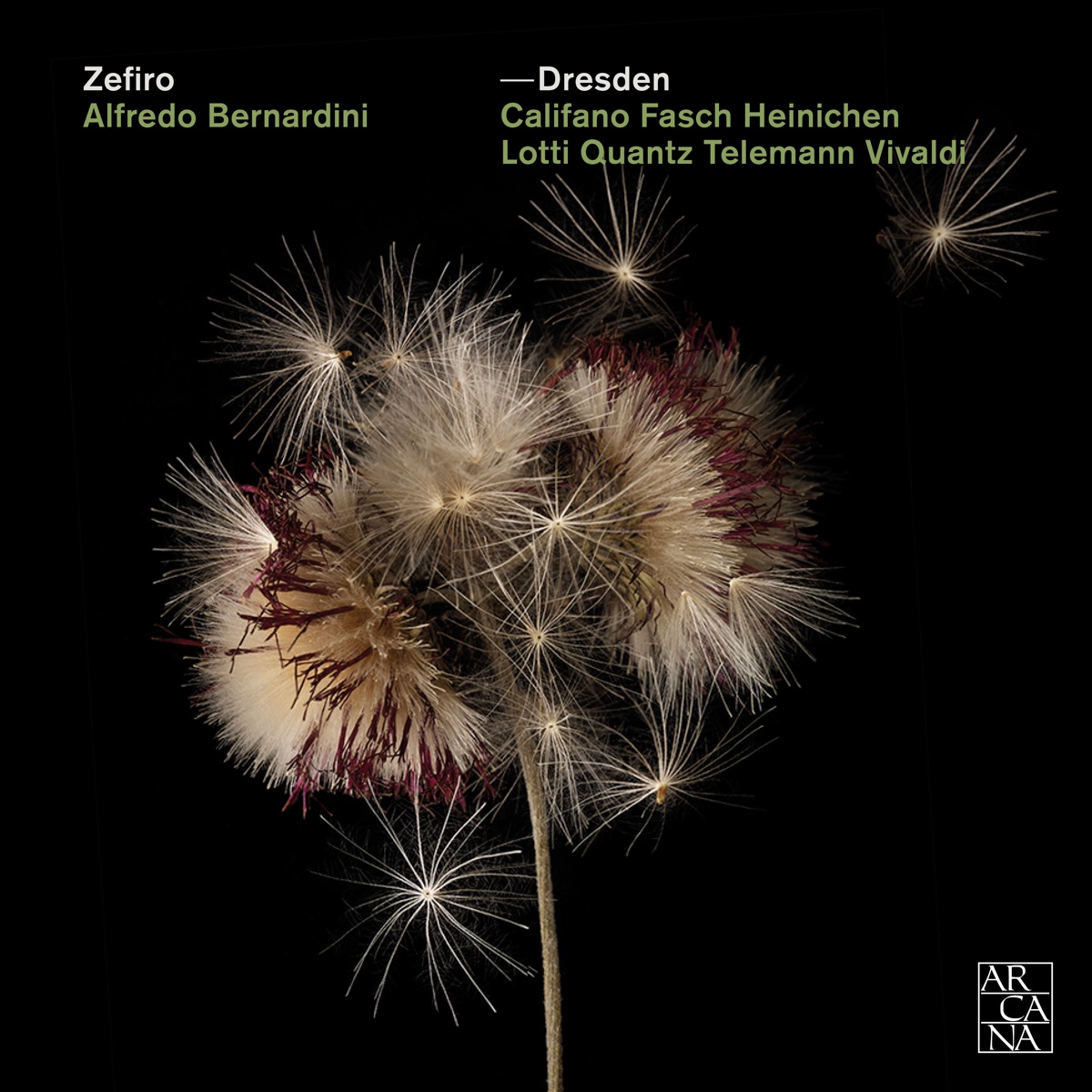 Dresden by Zefiro & Alfredo Bernardini album cover