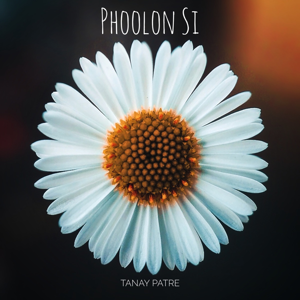 Phoolon Si - Single by Tanay Patre album cover
