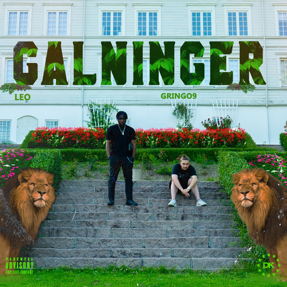 Galninger (feat. Gringo9) - Single by Leo album cover