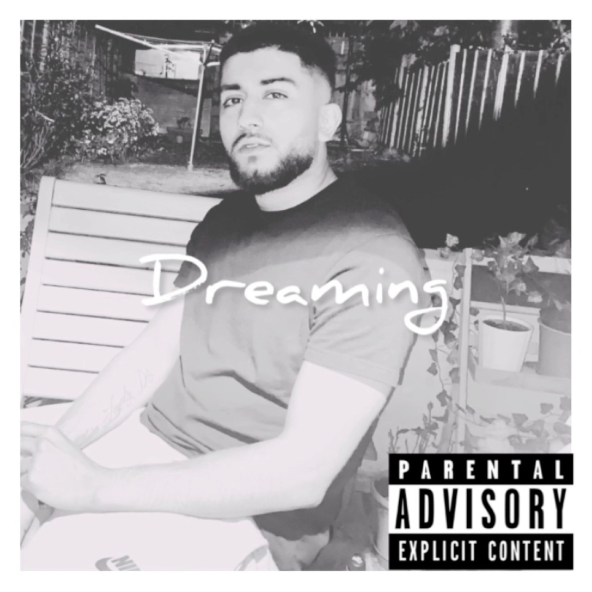Dreaming - Single by P-Lay album cover