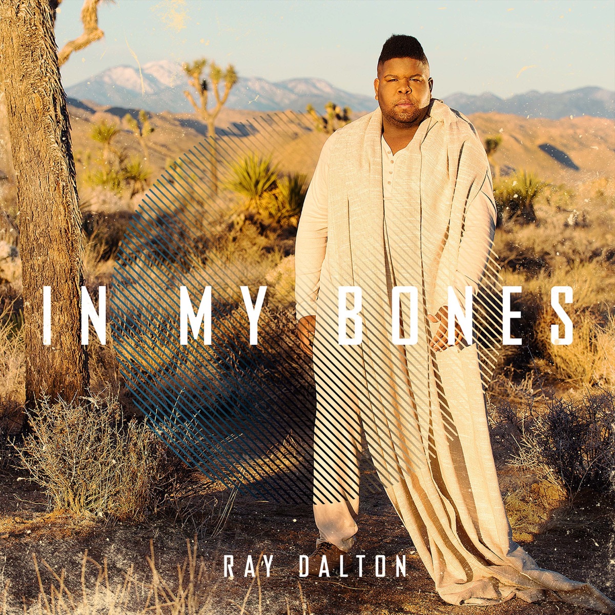 In My Bones - Single by Ray Dalton album cover