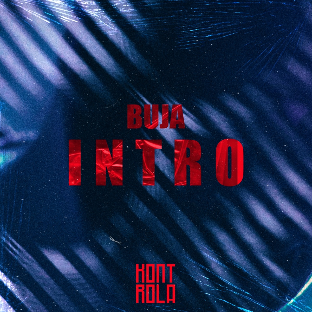 Intro - Single by Buja album cover