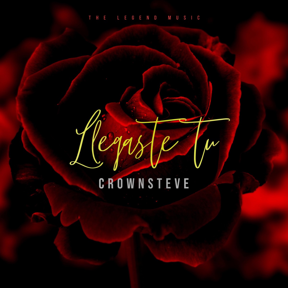 Llegaste tú - Single by Crownsteve album cover