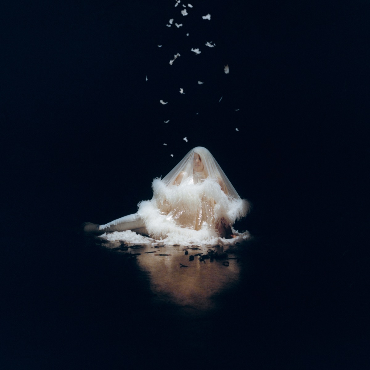 Cleo - Single by Shygirl album cover
