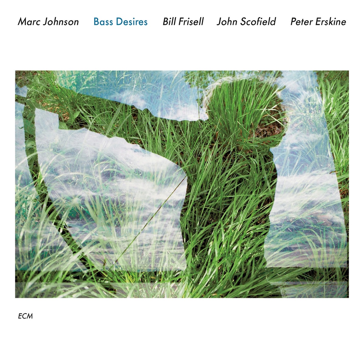 Bass Desires by Marc Johnson, Bill Frisell, John Scofield & Peter Erskine album cover