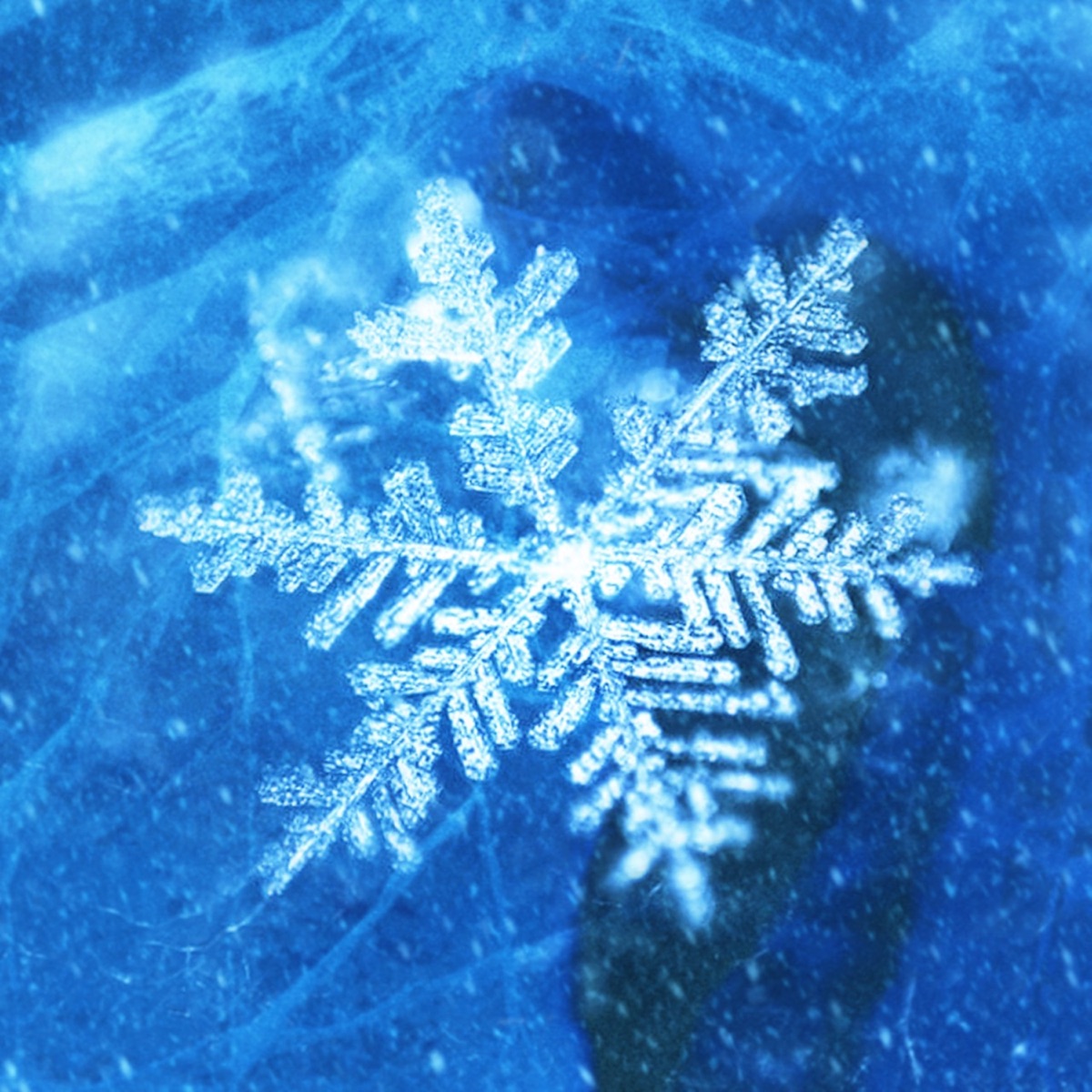 Glacial - EP by Zohann album cover