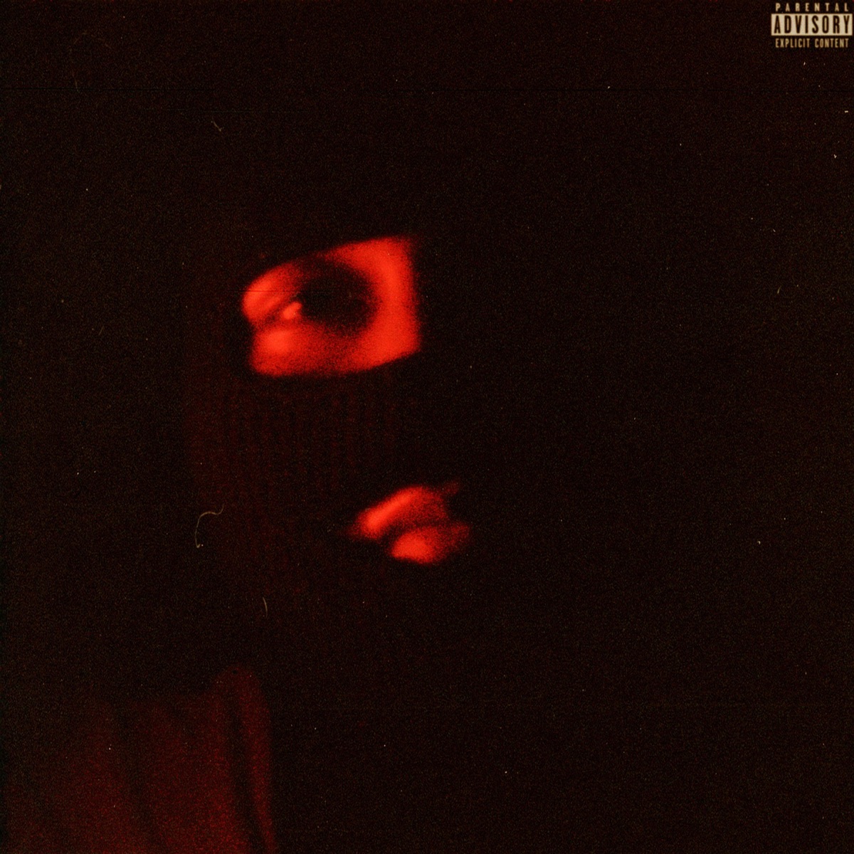 Baby Niggx - Single by Desface DK album cover