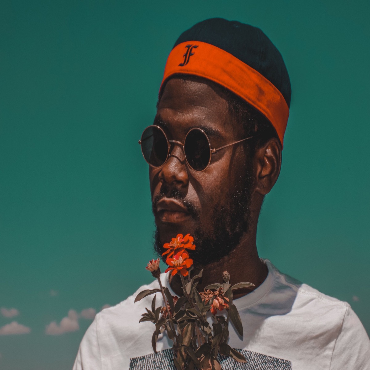 Hoax - Single by LE2 album cover