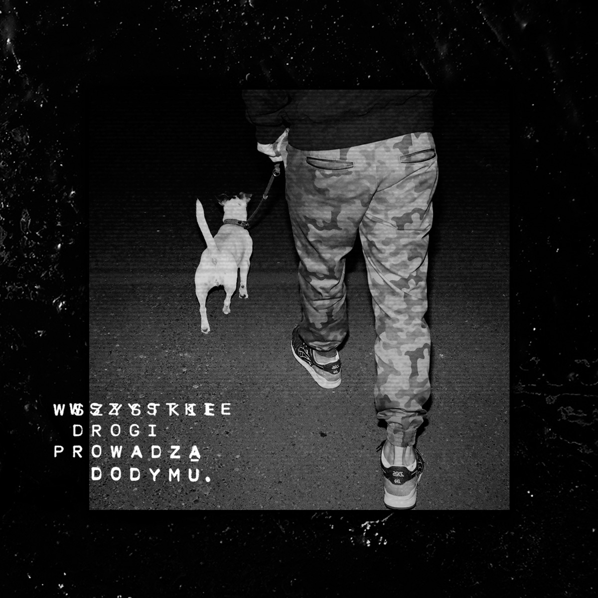 Wszystkie Drogi Prowadzą Do Dymu by Włodi album cover
