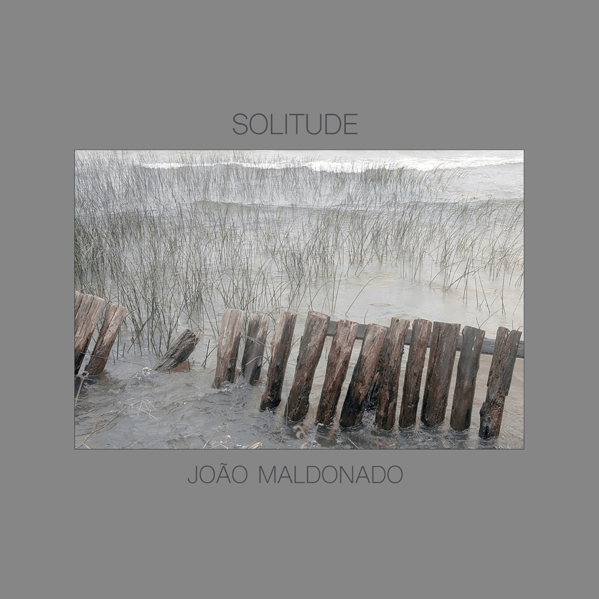 Solitude by João Maldonado album cover