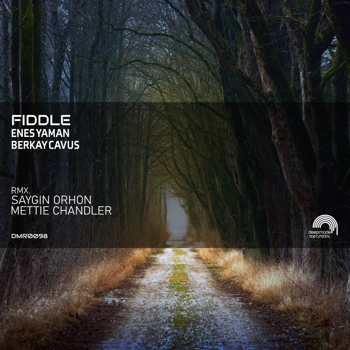 Fiddle Remix - Single by Enes Yaman & Berkay Cavus album cover