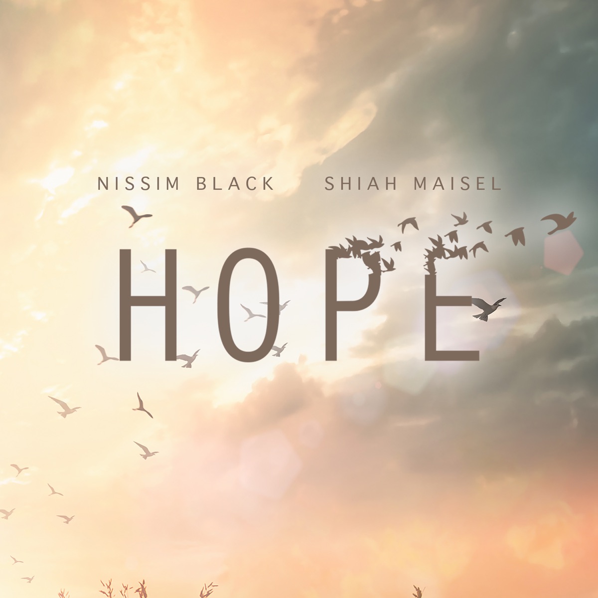 Hope - Single by Nissim Black & Shiah Maisel album cover