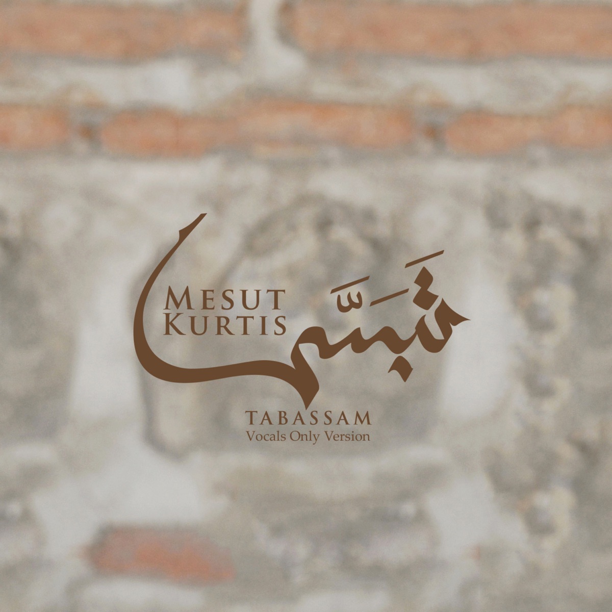 Tabassam (Vocals-Only No Music Version) by Mesut Kurtis album cover