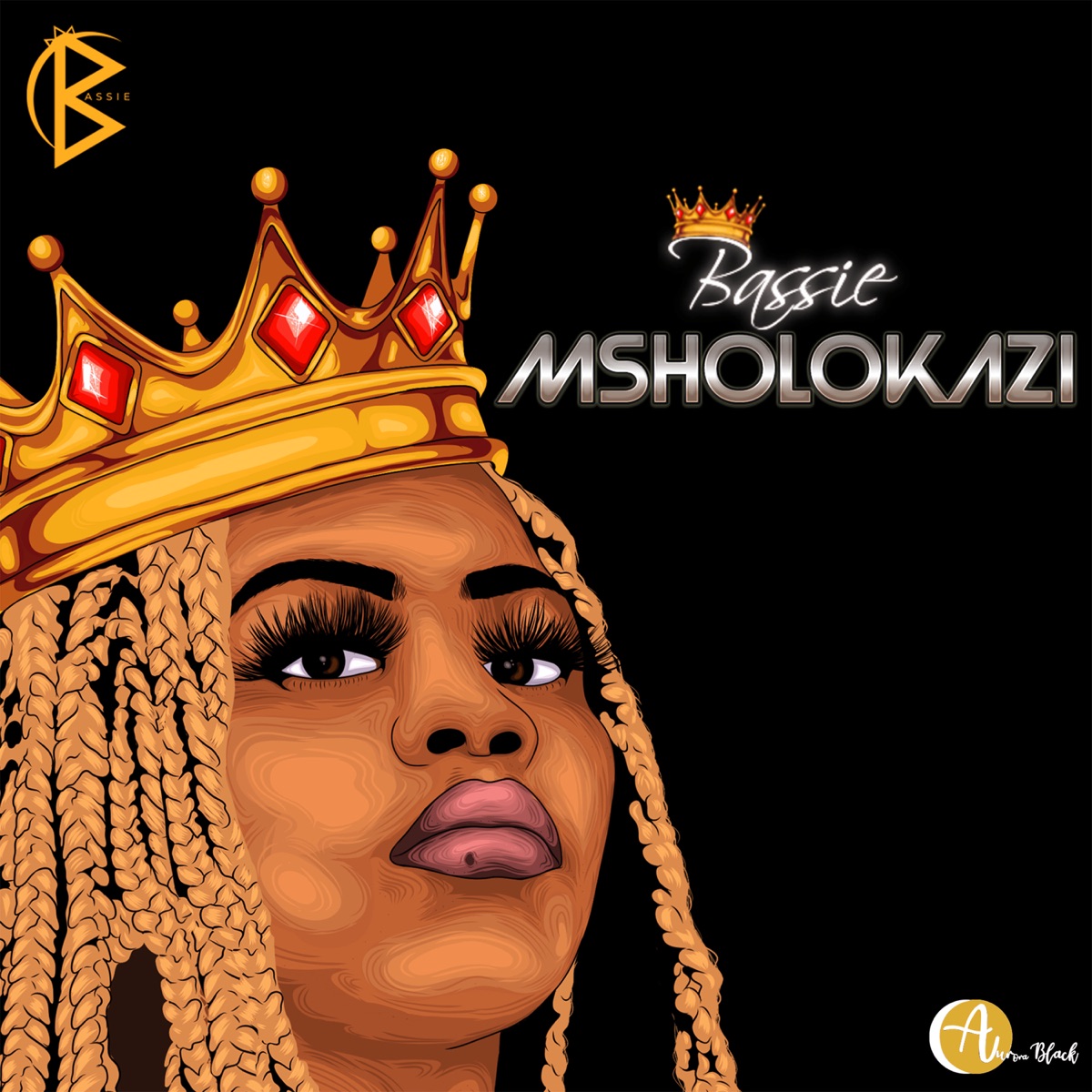 Msholokazi by Bassie album cover
