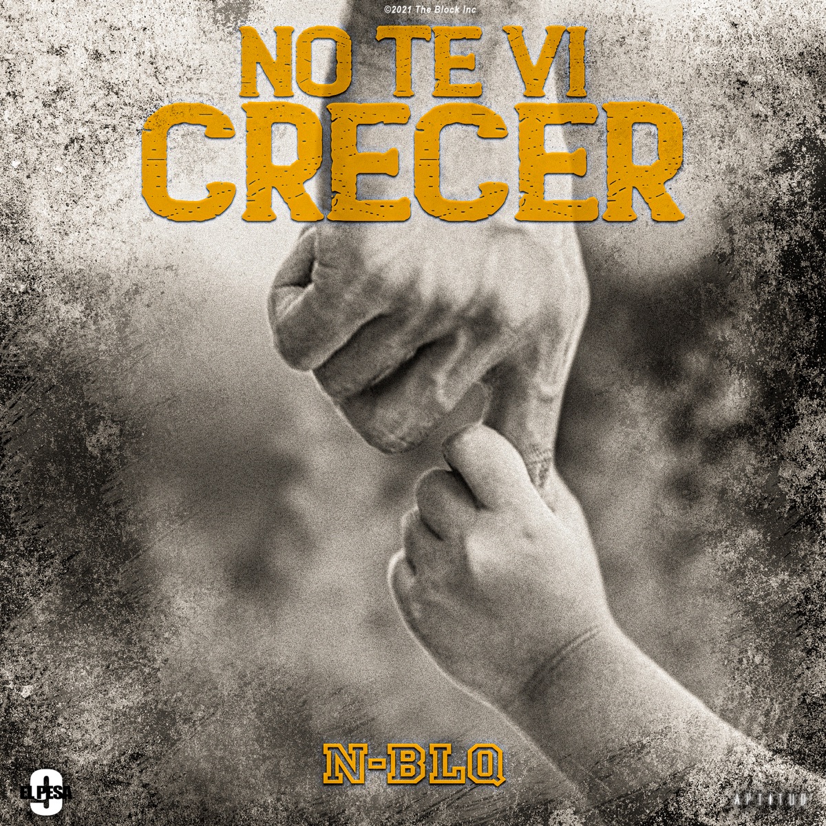 No Te Ví Crecer - Single by Néstor En Bloque & El Pesa 9 album cover