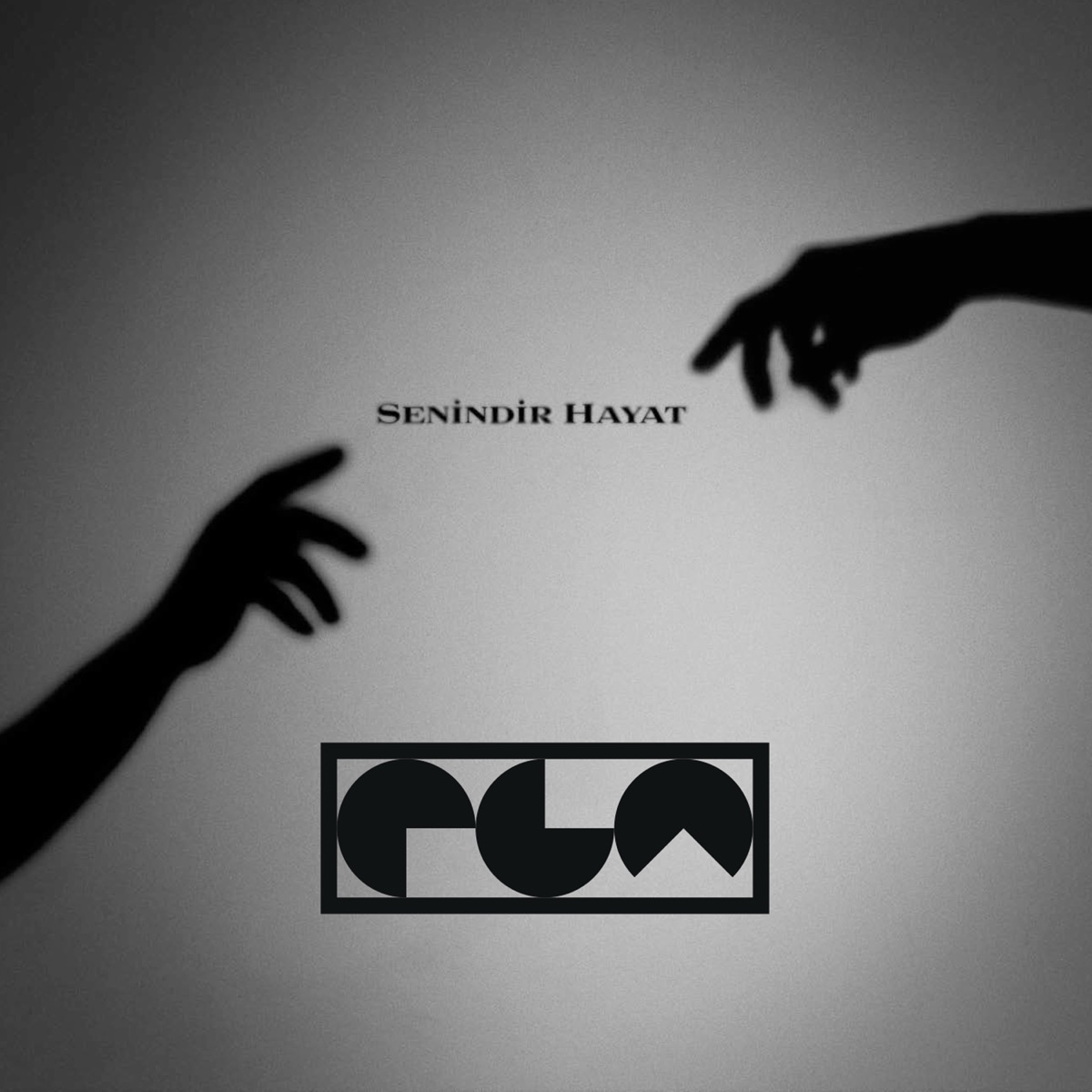 Senindir Hayat by Ela album cover
