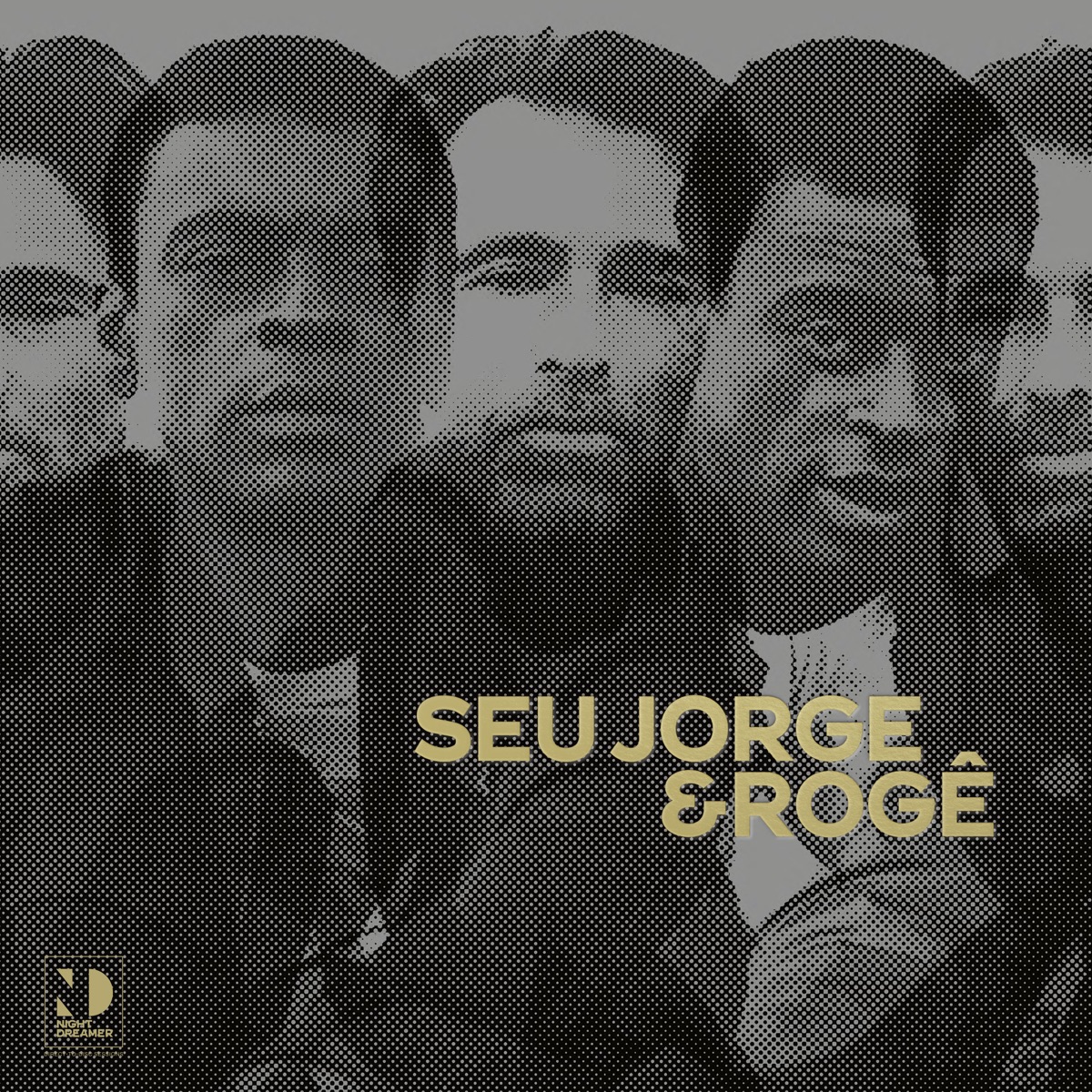 Night Dreamer Direct-To-Disc Sessions by Seu Jorge & Rogê album cover