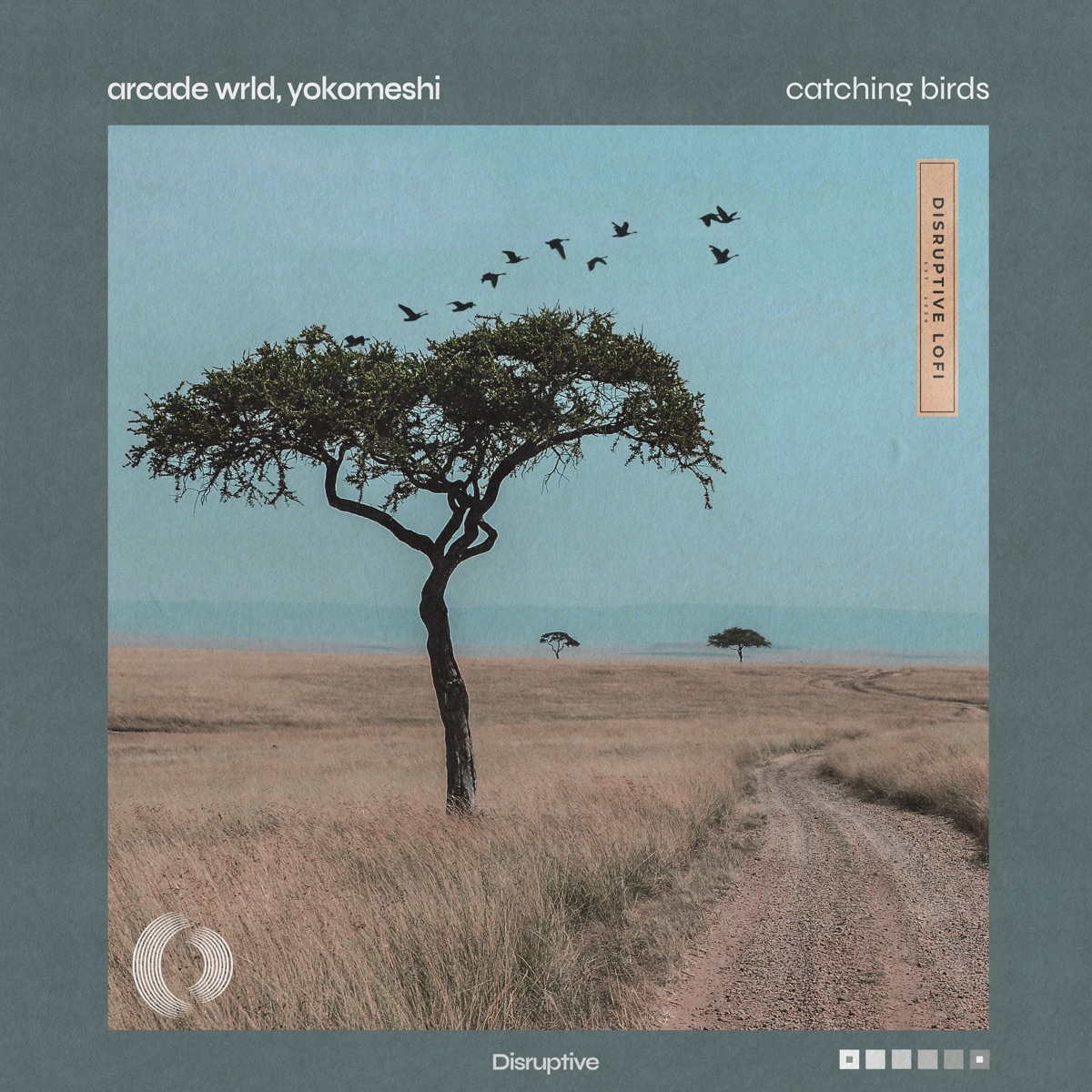 Catching Birds - Single by Arcade Wrld, Yokomeshi & Disruptive LoFi album cover