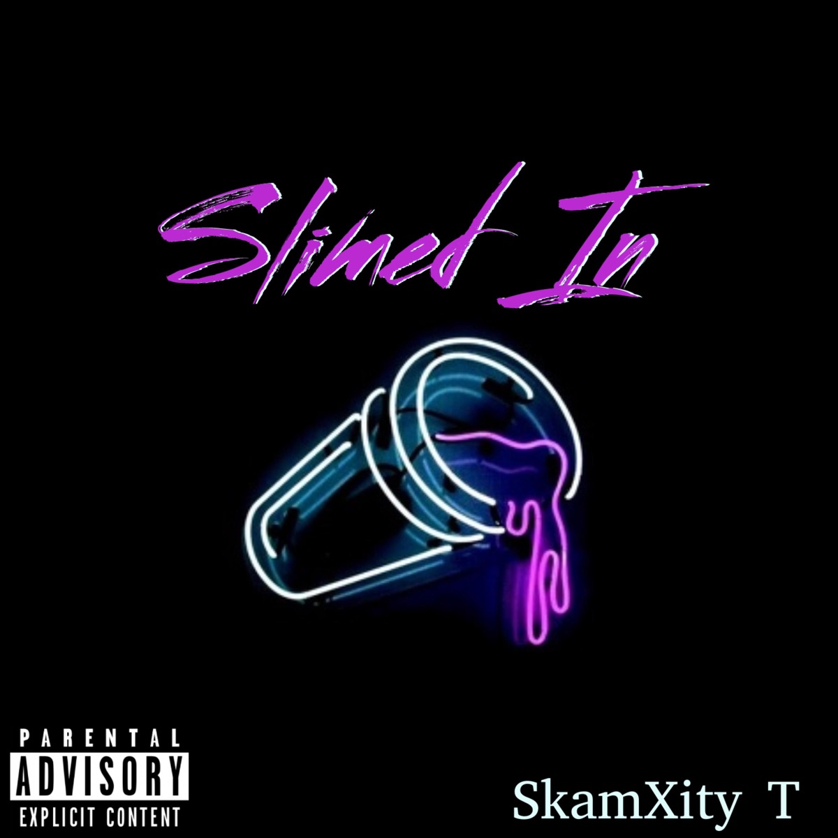 Slimed In - Single by SkamXity T album cover
