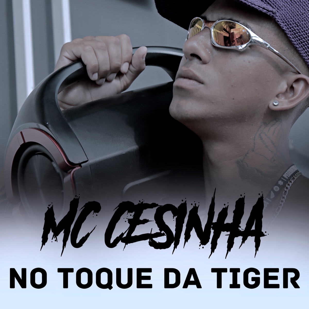 No Toque Da Tiger - Single by MC Cesinha 014 album cover