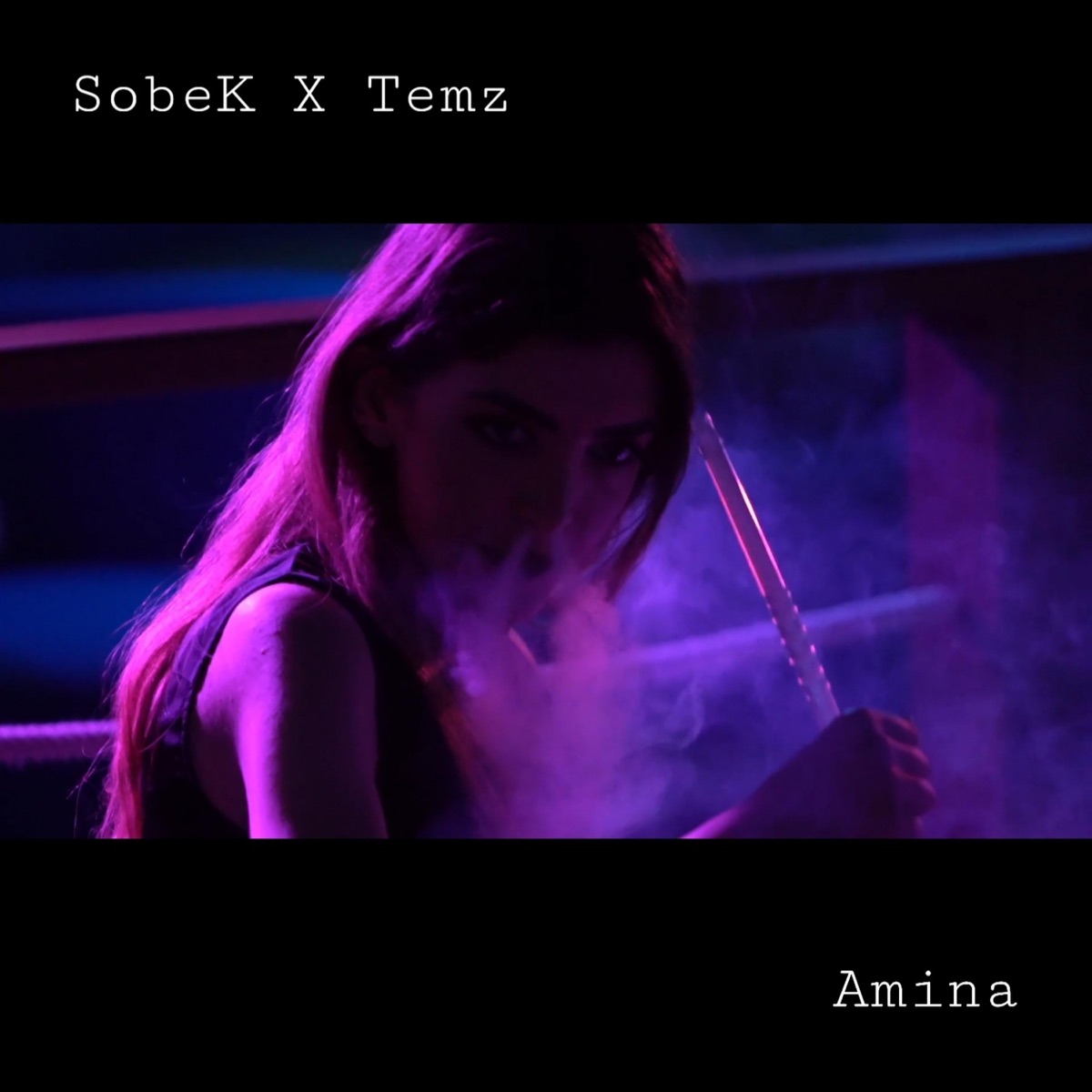 Amina (feat. Temz) - Single by Sobek album cover
