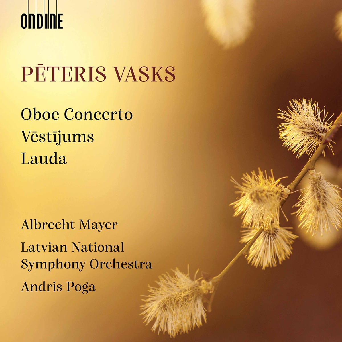 Pēteris Vasks: Oboe Concerto, Vēstījums & Lauda by Latvian National Symphony Orchestra, Andris Poga & Albrecht Mayer album cover