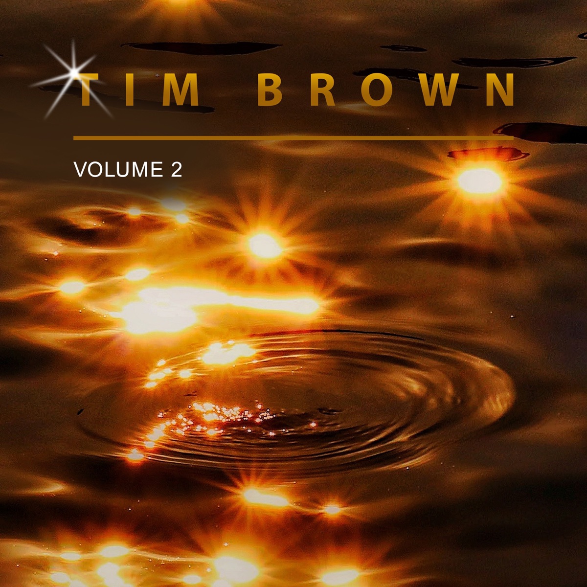 Tim Brown, Vol. 2 by Tim Brown album cover