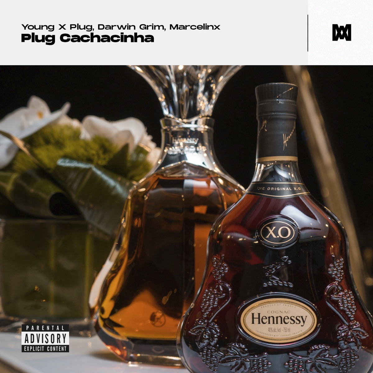 Plug Cachacinha - Single by Young X plug, Darwin Grin & Marcelinx album cover