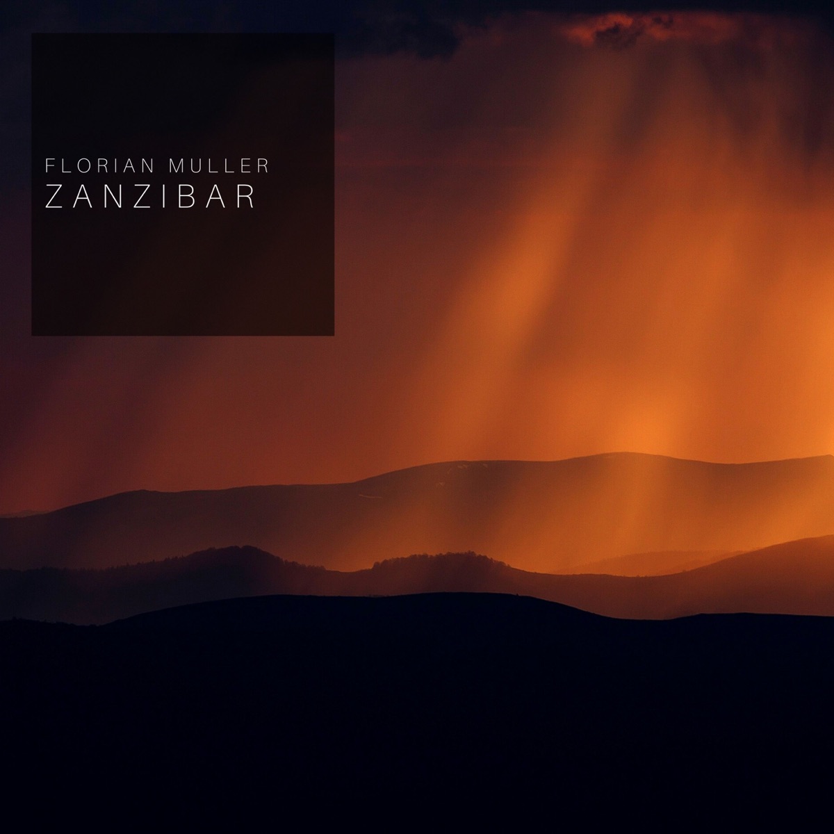 Zanzibar - Single by Florian Muller album cover