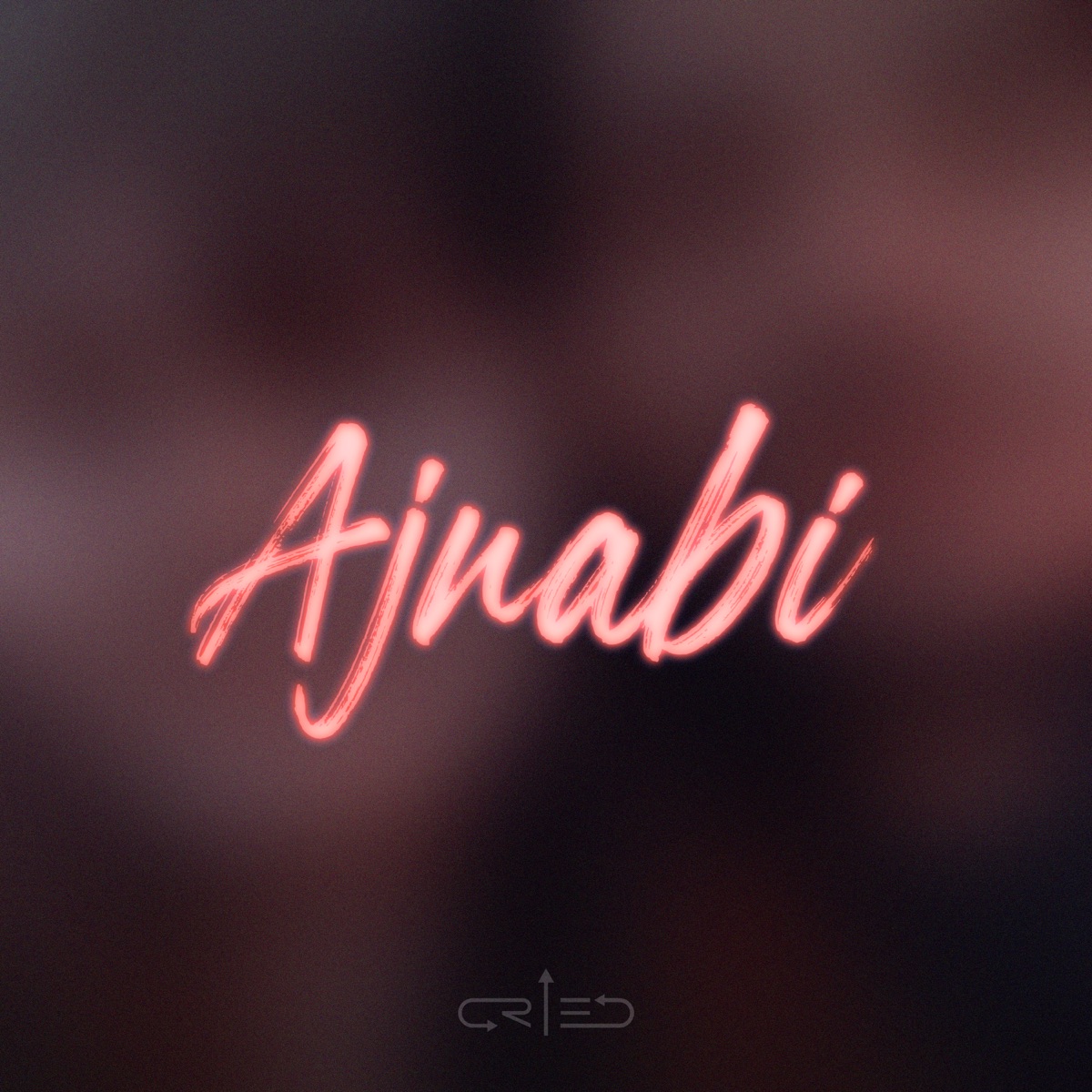 Ajnabi - Single by ICRIED album cover