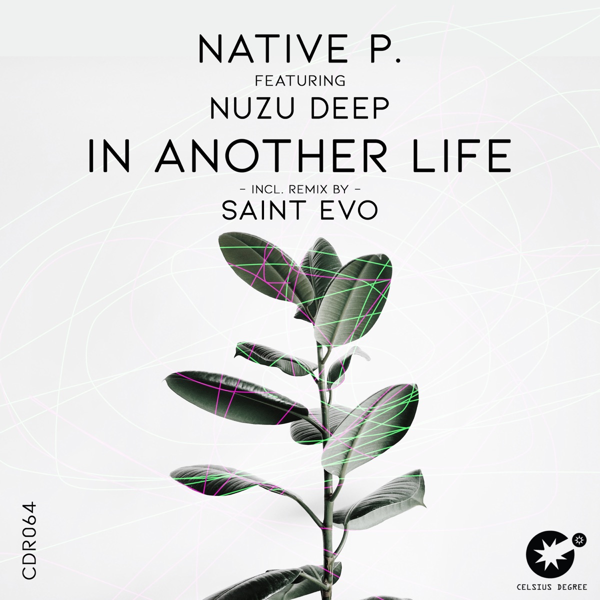 In Another Life (feat. Nuzu Deep) - Single by Native P album cover