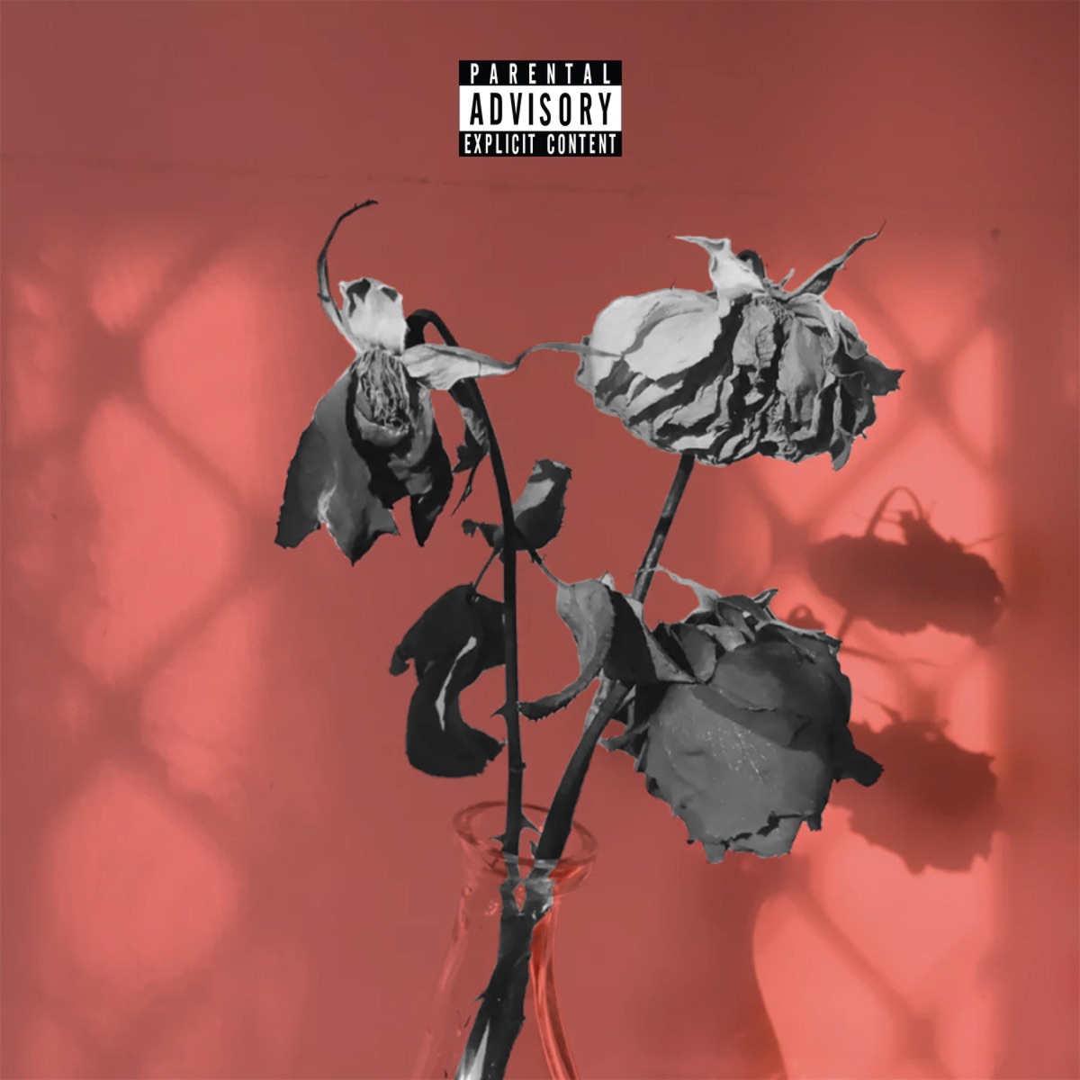 Doja - Single by Twnty8 album cover