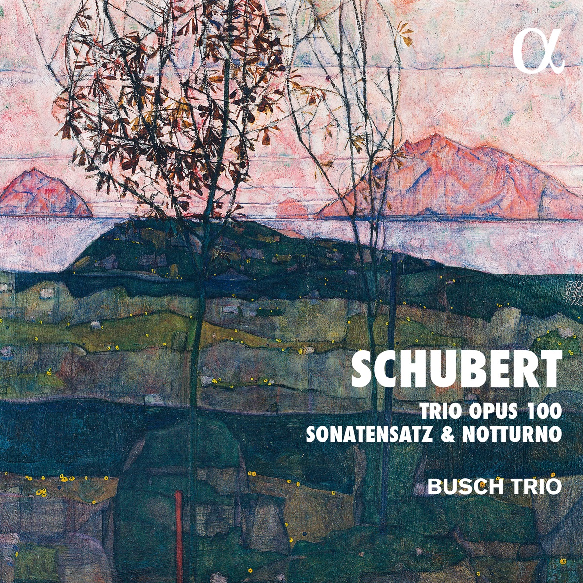 Schubert: Trio Opus 100, Sonatensatz & Notturno by Busch Trio album cover