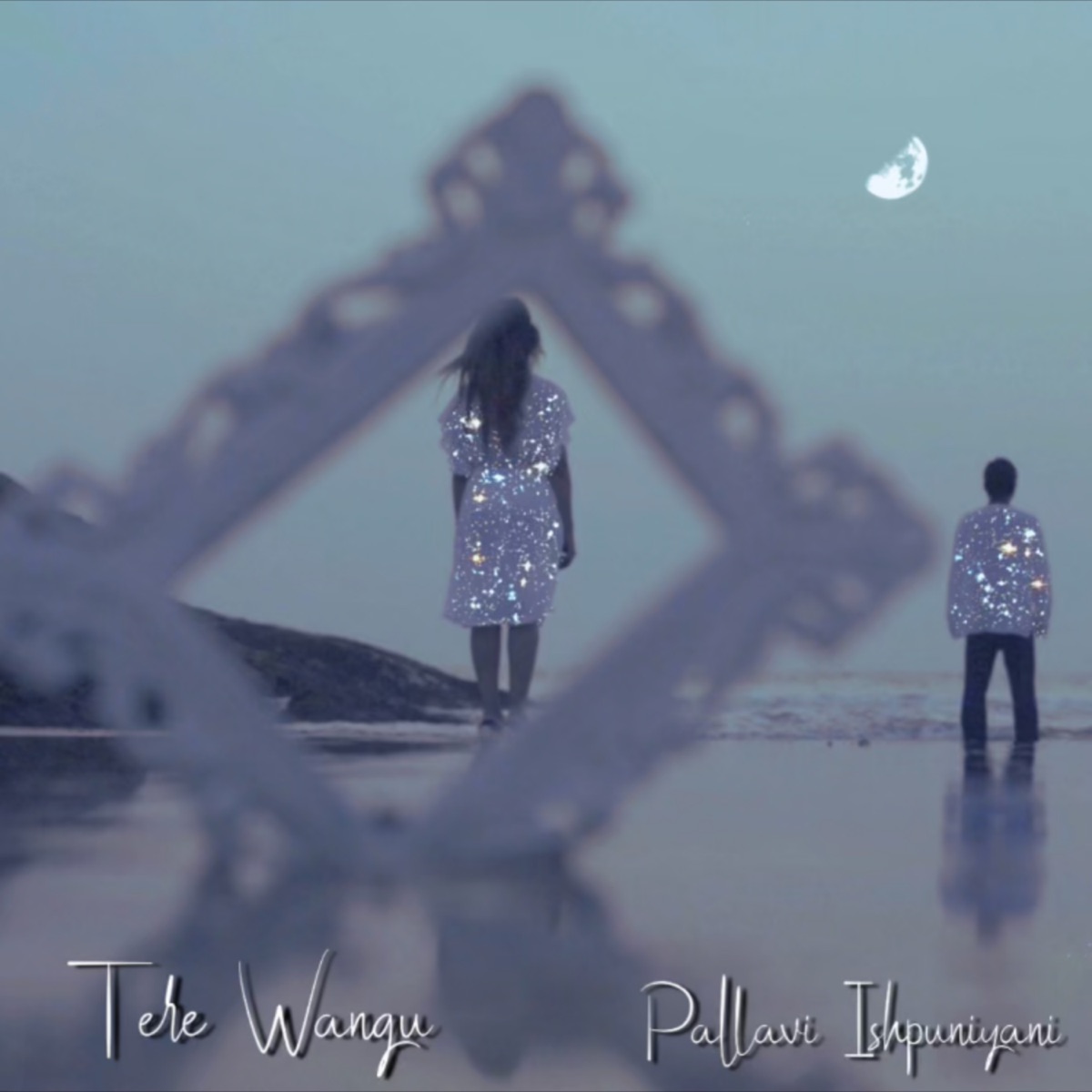 Tere Wangu - Single by Pallavi Ishpuniyani album cover