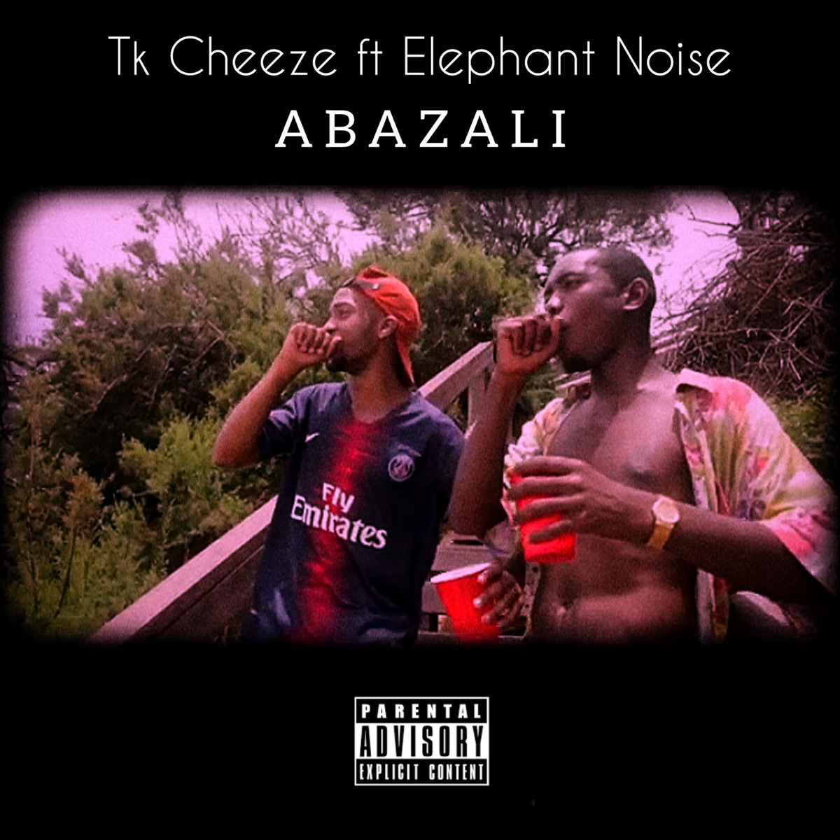 Abazali (feat. Elephant Noise) - Single by Tk Cheeze album cover