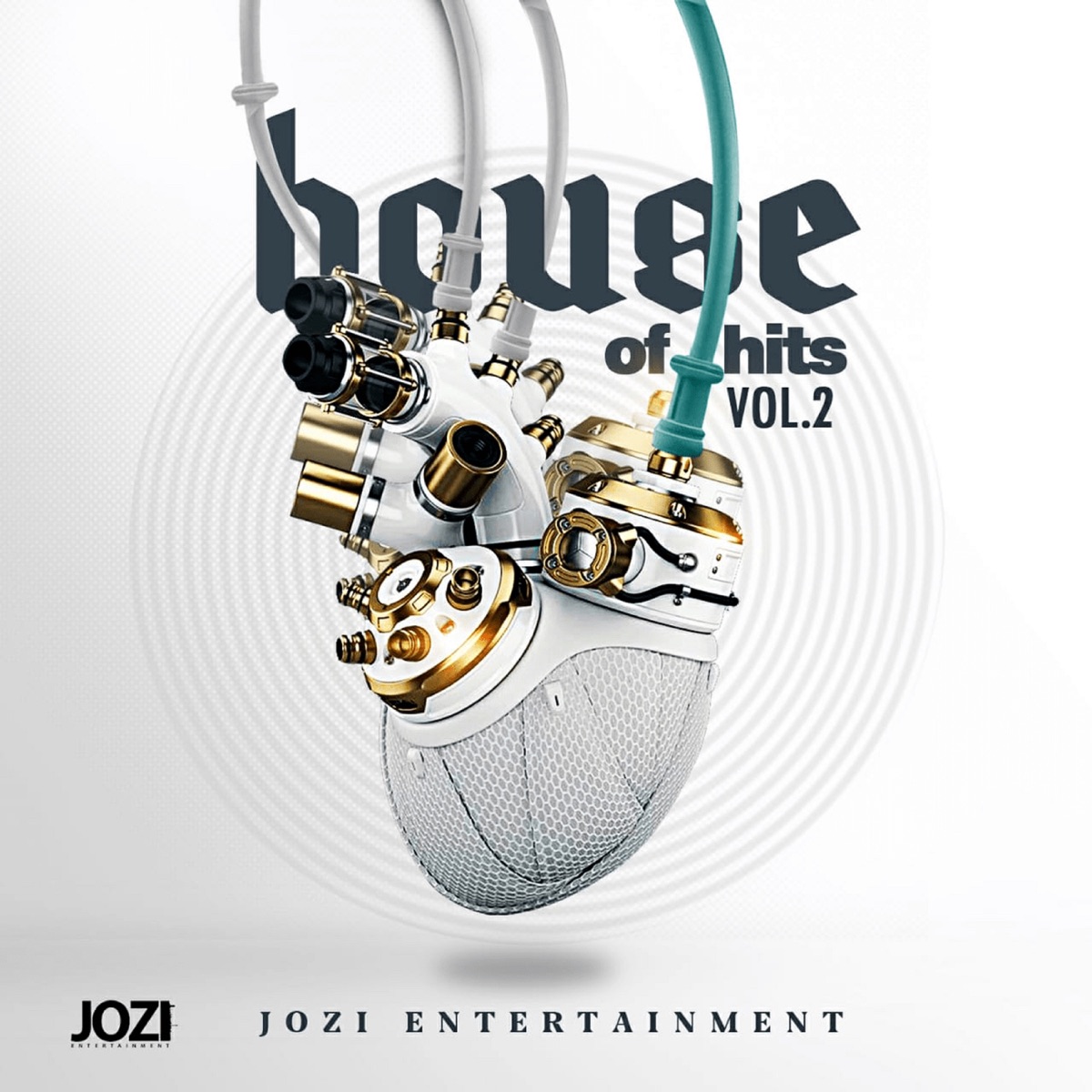 House of Hits, Vol. 2 by Tumisho & DJ Manzo SA album cover