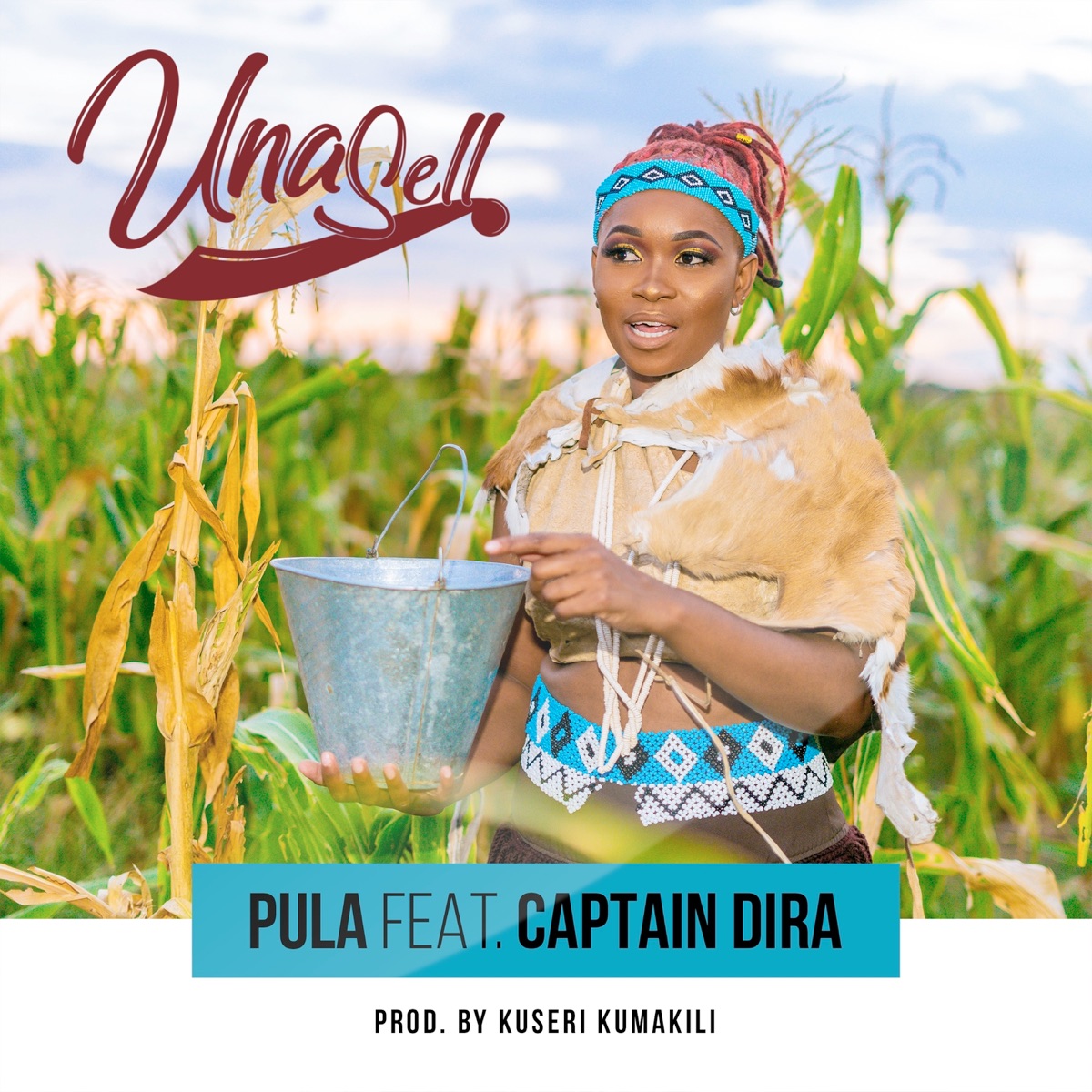 Pula (feat. Captain Dira) - Single by UNA SELL album cover