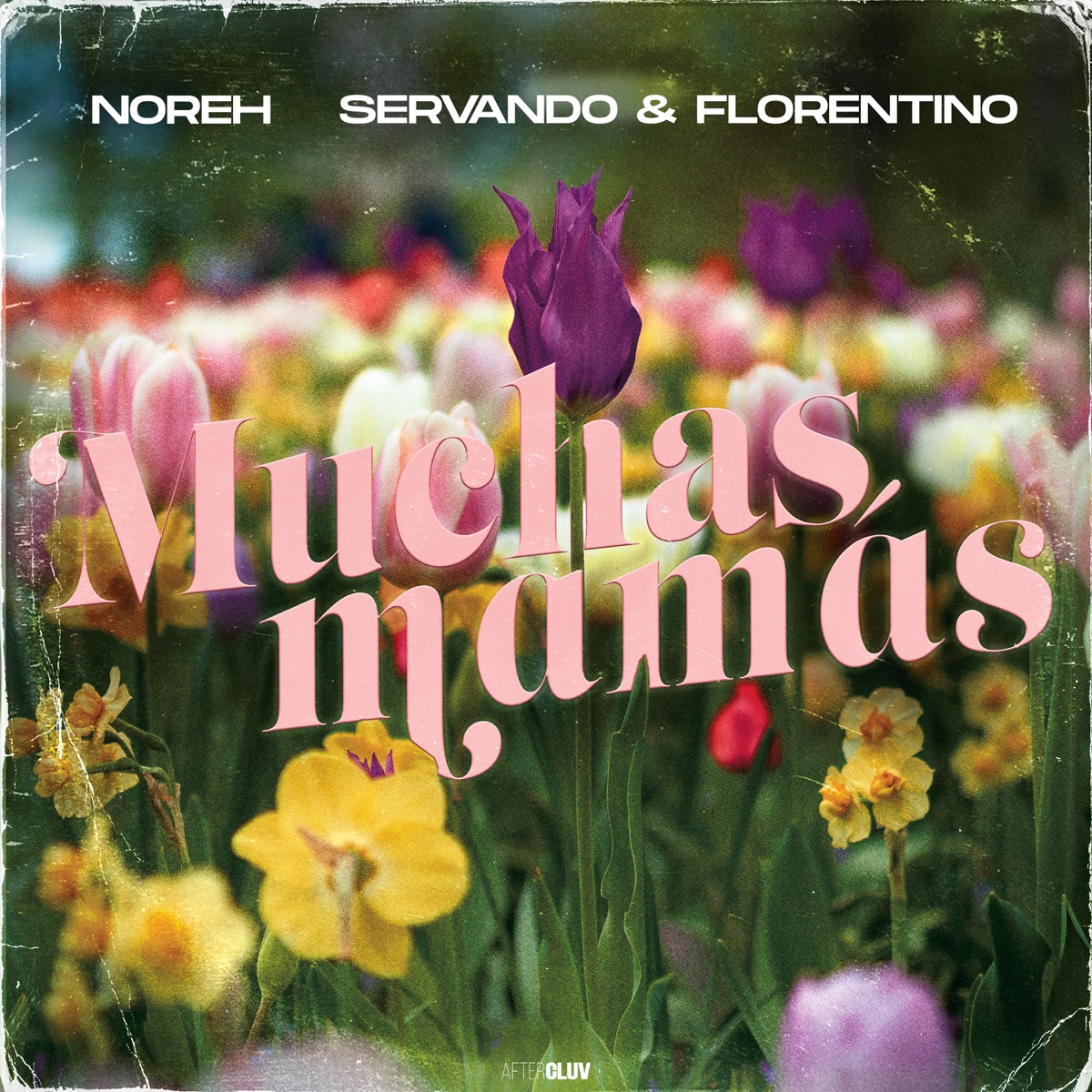 Muchas Mamás - Single by NOREH & Servando & Florentino album cover