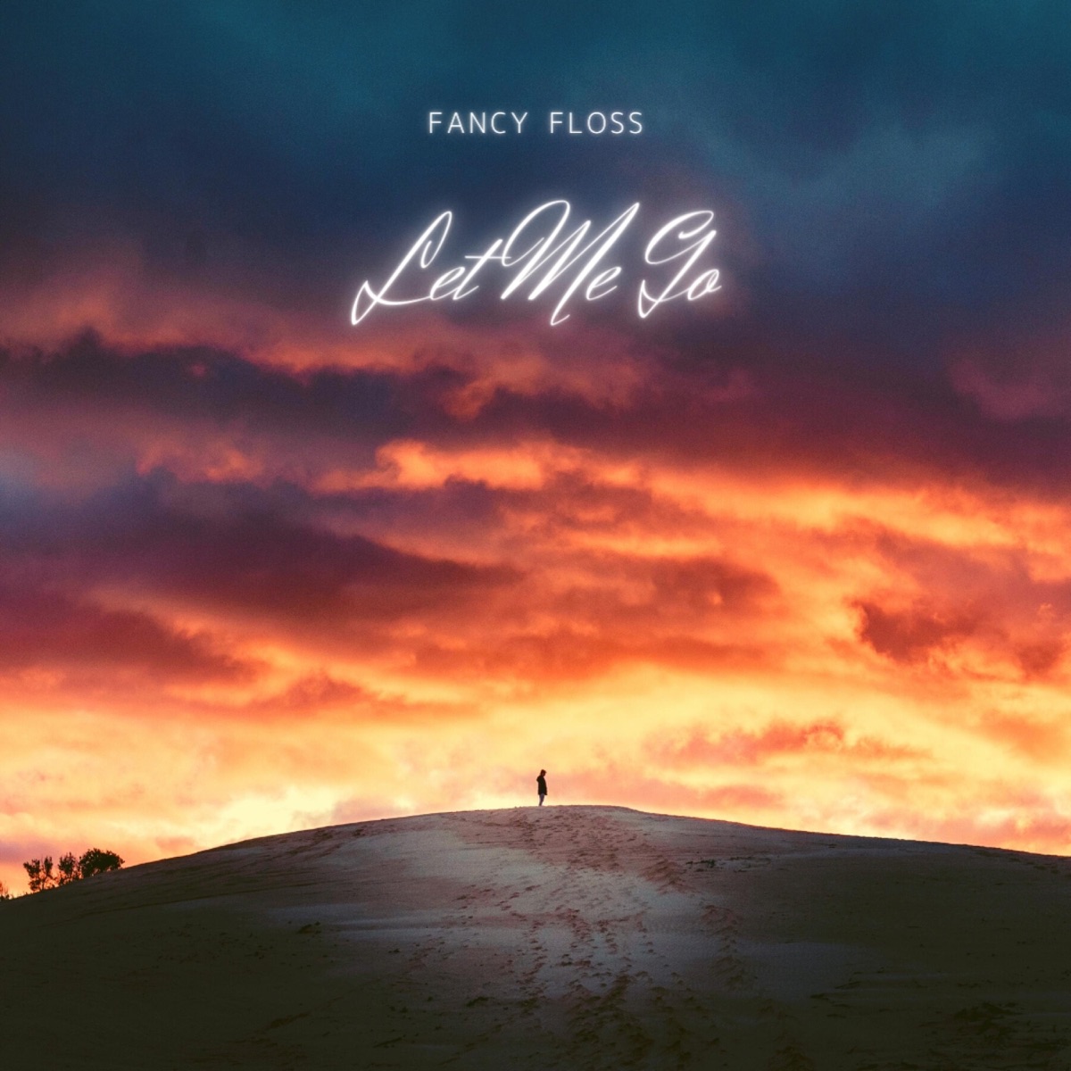 Let Me Go - Single by Fancy Floss album cover